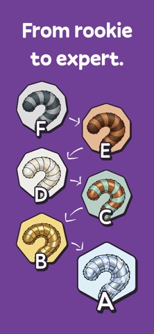 Squiz - Learn with Quizzes Screenshot 8 of 8