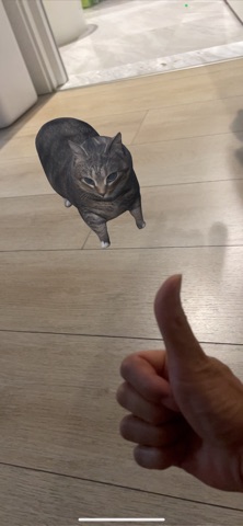 Oiia Cat AR iPhone screenshot