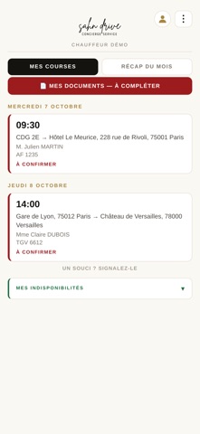 SD Driver par SAHN DRIVE screenshot 3