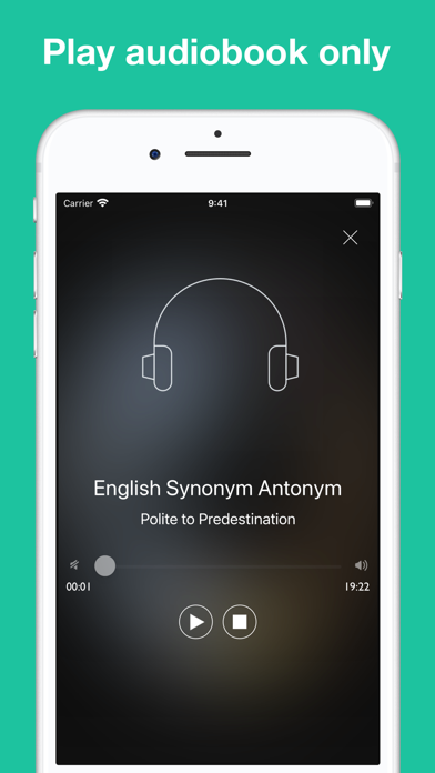 Synonym Antonym Audiobook Screenshot