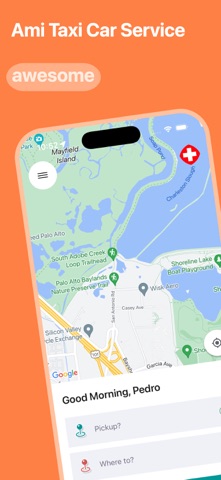 Ami Taxi screenshot