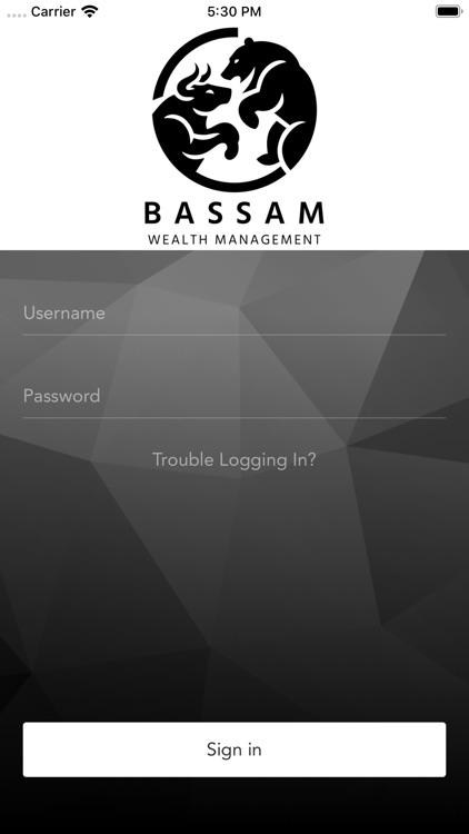 Bassam Wealth Management