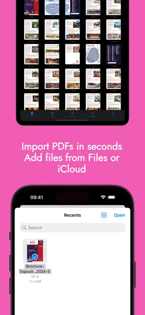 Local PDF screenshot 3