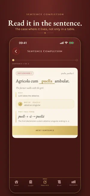 Declinatio: Latin Grammar screenshot 3