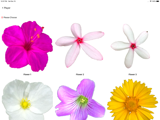 Screenshot #6 pour MYin Music - 花儿跳动音乐播放器