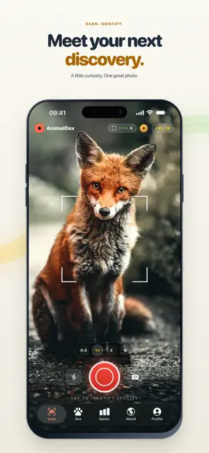 AnimalDex: Catch them all screenshot 1