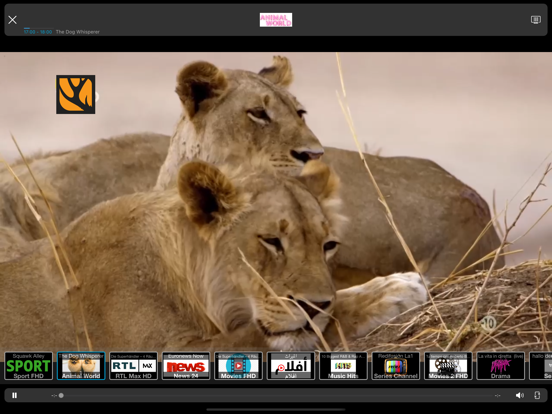 Screenshot #4 for IPTV Streamer Pro