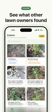 Grass Identifier screenshot 3