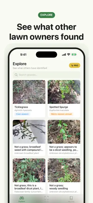 Grass Identifier screenshot 3