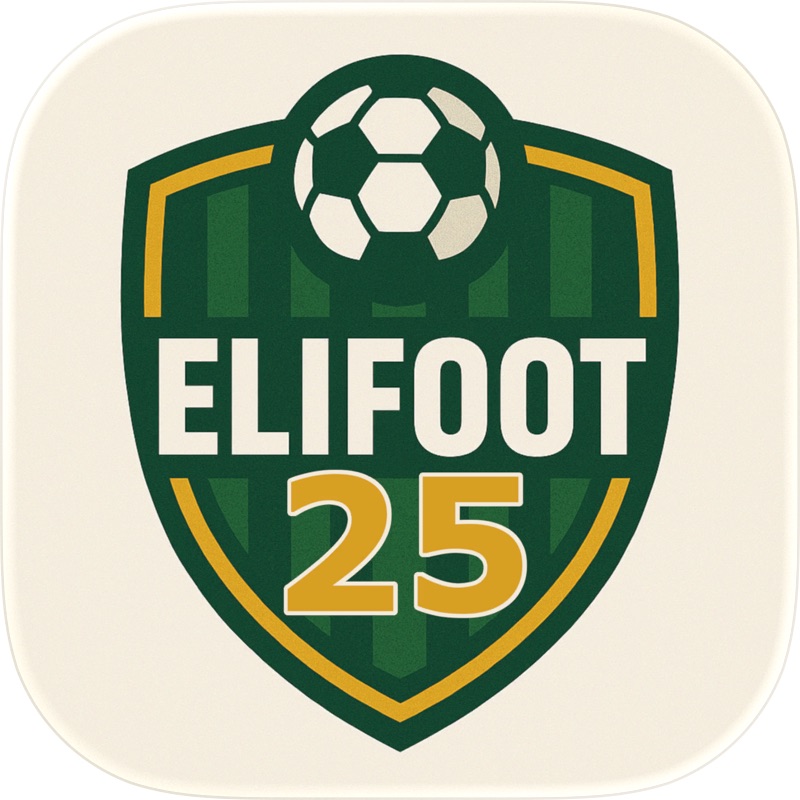 Online Soccer Manager (OSM) screenshot 12