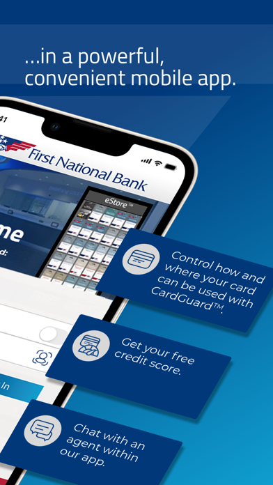 FNB Direct Screenshot