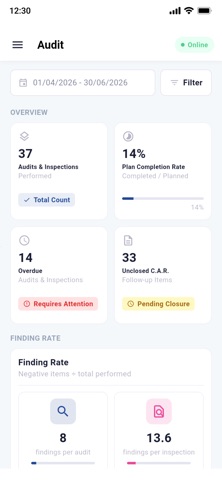Audit and Inspection screenshot