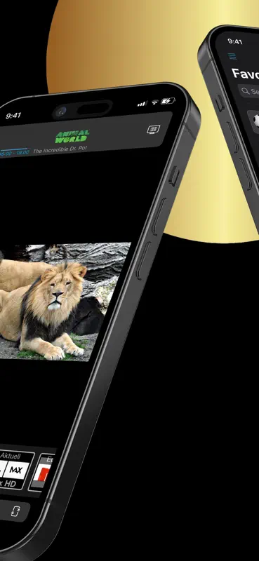 IPTV Streamer Pro screenshot 2 of 9