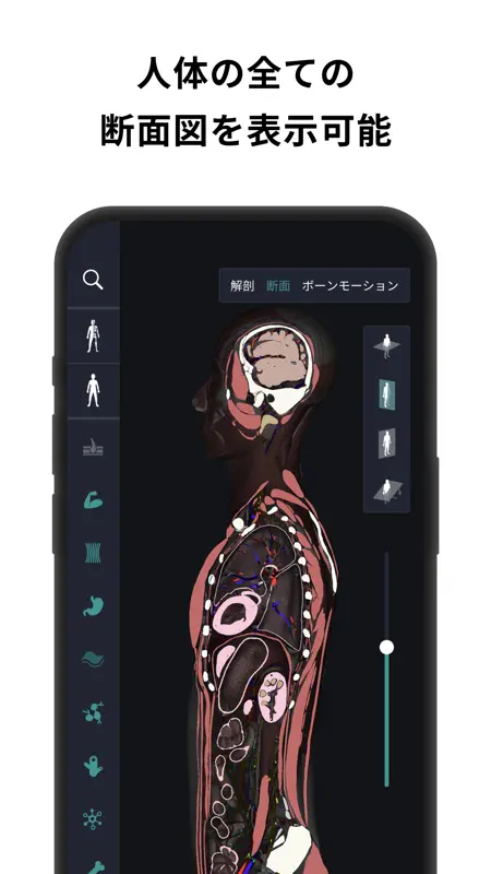 チームラボボディ 人体の解剖学 筋肉 解剖 骨格 3d模型 screenshot 2 of 7