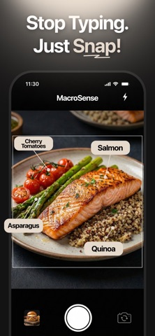 MacroSense: AI Calorie Counter iPhone screenshot
