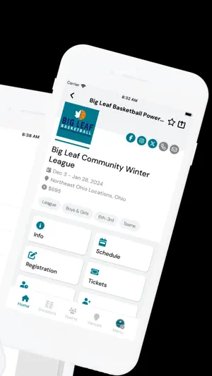 Big Leaf Basketball screenshot 2