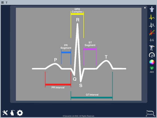Heart Simulator iPad screenshot