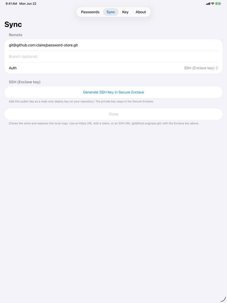 iPad screenshot