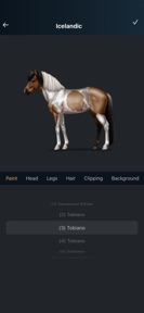 NOBLE HORSE DESIGN screenshot