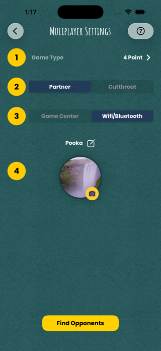 iPitch Screenshot 9 of 10