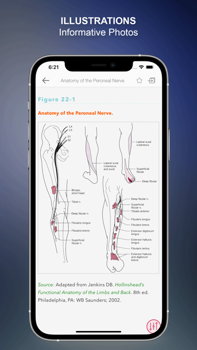 Screenshot #3 pour McLean EMG Electrodiagnostic