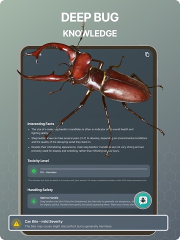 Bug Identifier - BugScope iPad screenshot