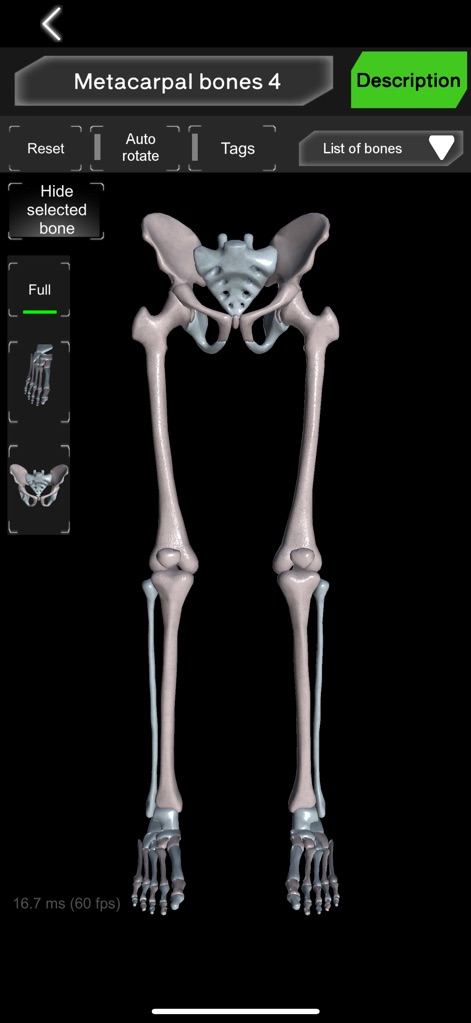 Bones 3D (Anatomy) - 교육 앱 | MWM