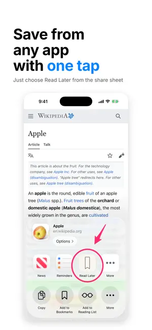 Save Any Link: Read Later screenshot 2