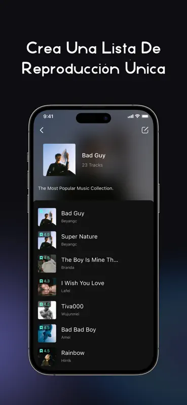 RaMusi: Offline Music Player screenshot 3 of 5