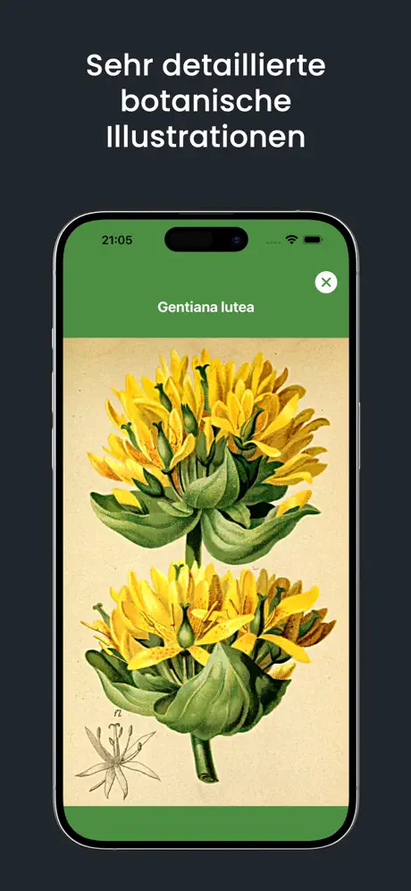 SwissFlora screenshot 5