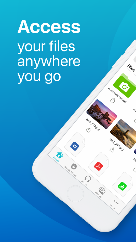 #1. pCloud - Cloud Storage (iOS) 由: PCLOUD LTD