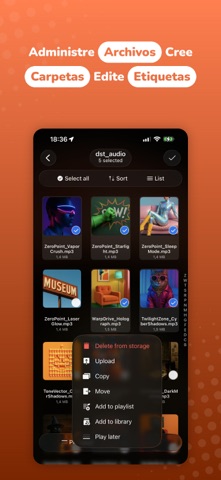 Evermusic: reproductor offline screenshot 9
