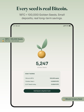 Toggee: Kids Chores & Rewards iPad screenshot
