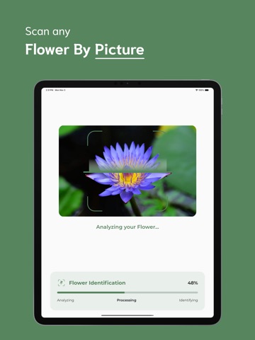 Flower Identifier - FI iPad screenshot