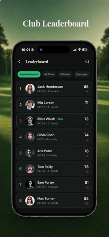 Hole20 screenshot