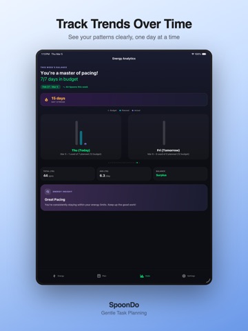 SpoonDo: Energy & Task Planner iPad screenshot