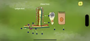 Animal Nutrition Biology screenshot #4 for iPhone