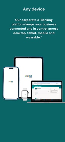 LHB BizConnect screenshot