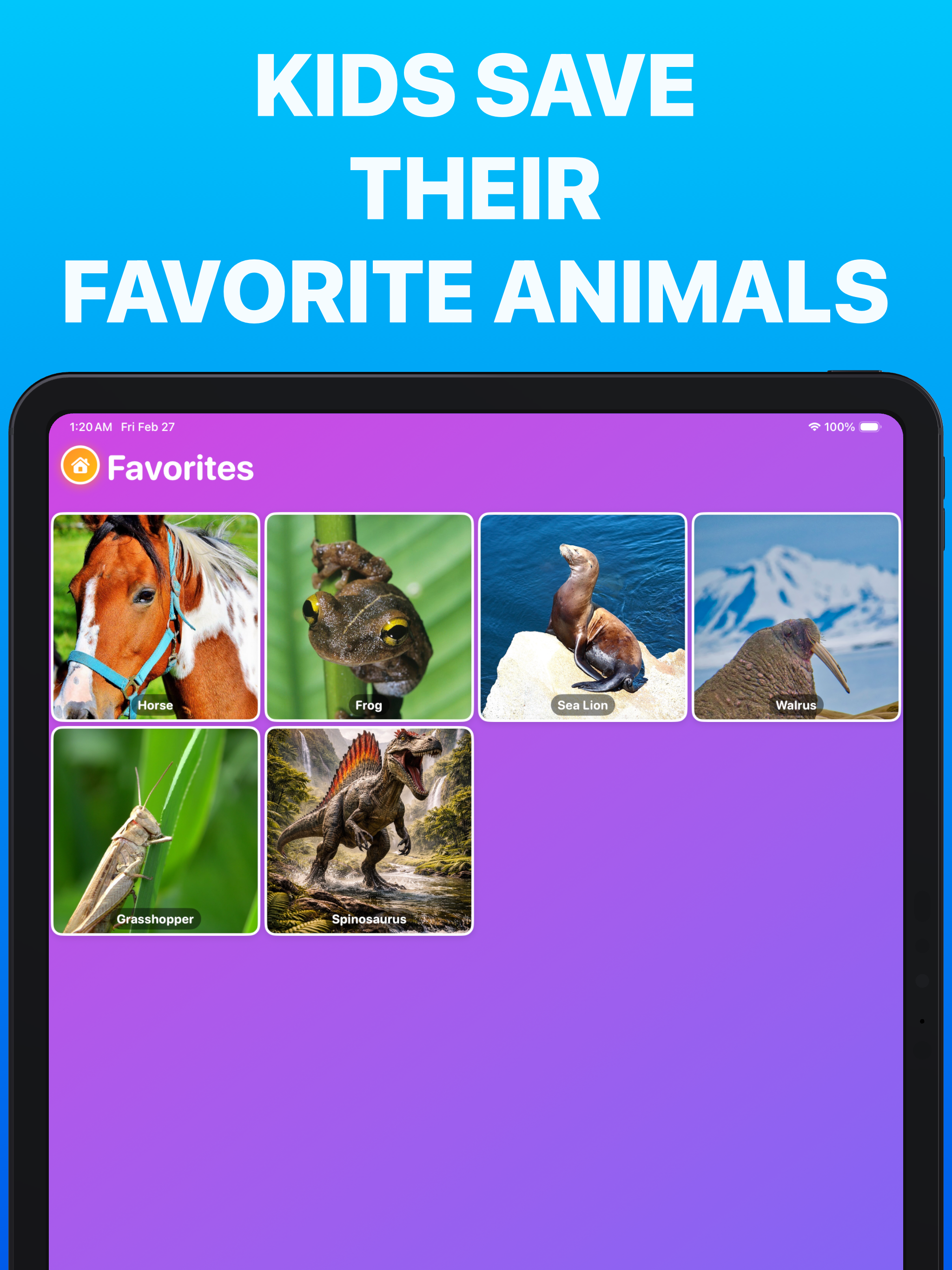 Guess the Animal Sounds: Kids screenshot 15