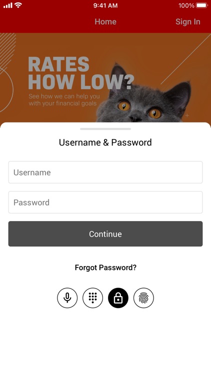RVA Financial Mobile