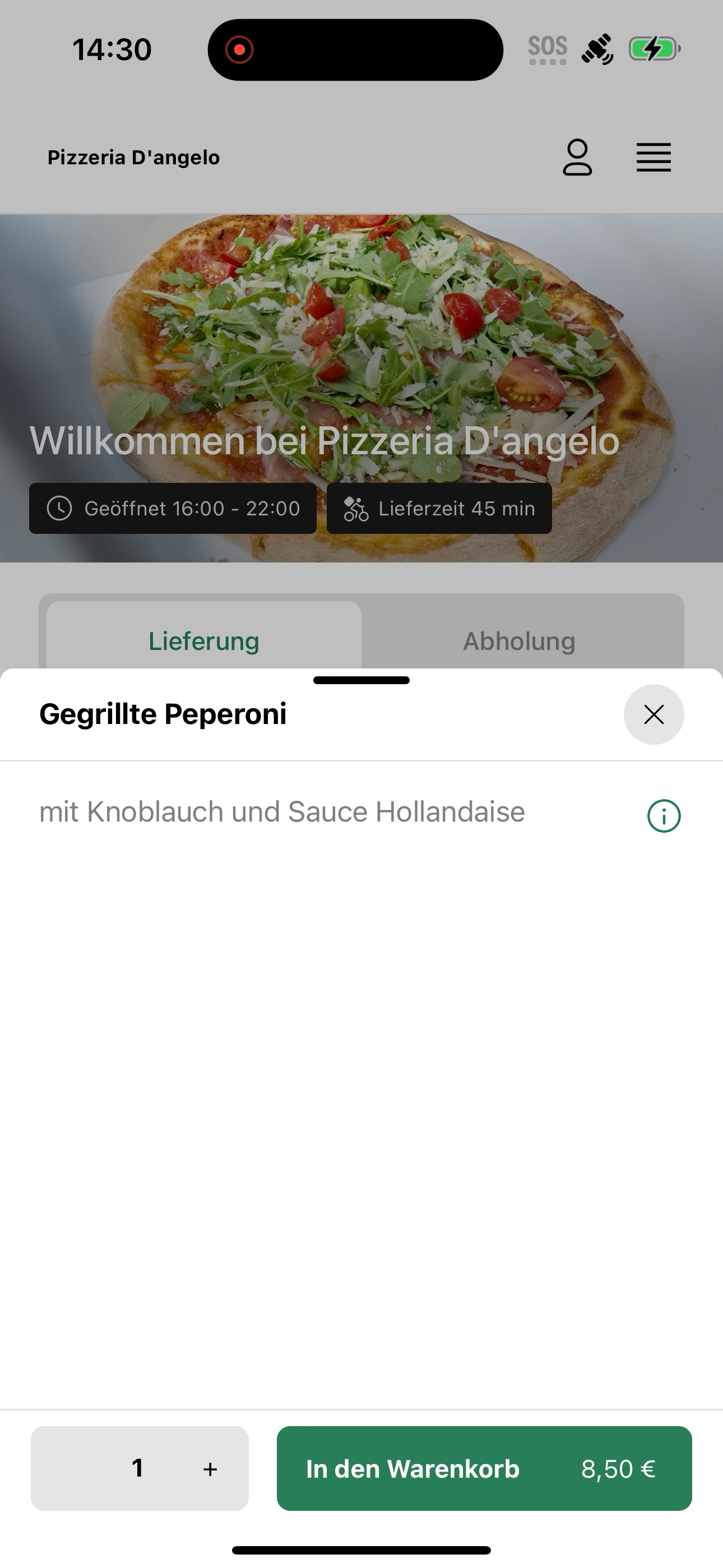 Pizzeria D'angelo
