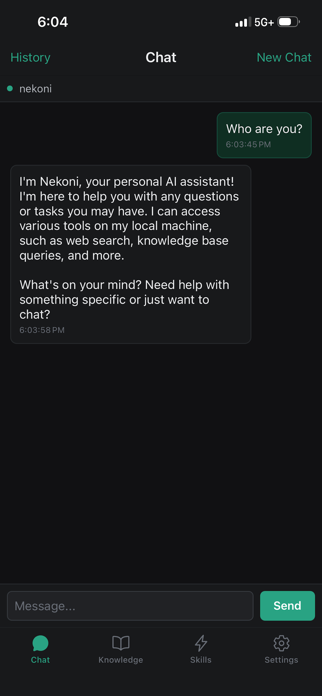 Nekoni Screenshot 1 of 4