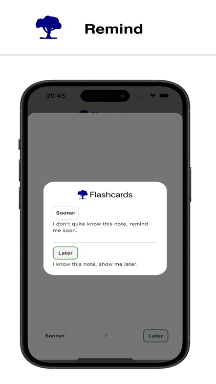 Learnalist: Flashcards