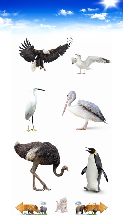 Amazing Animal Sounds Pro Screenshot