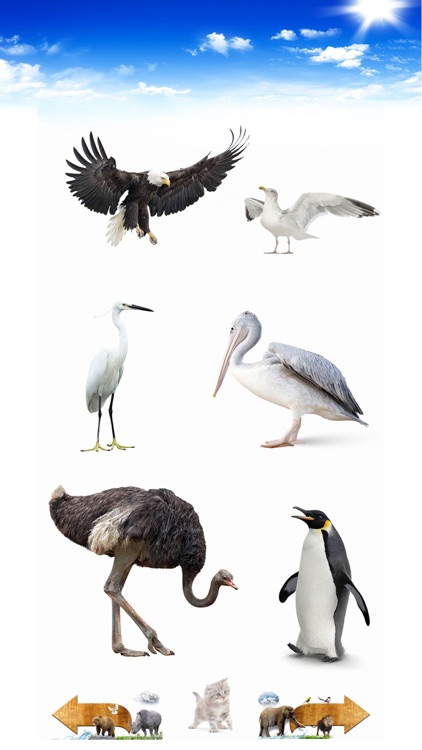 Amazing Animal Sounds Pro screenshot-5