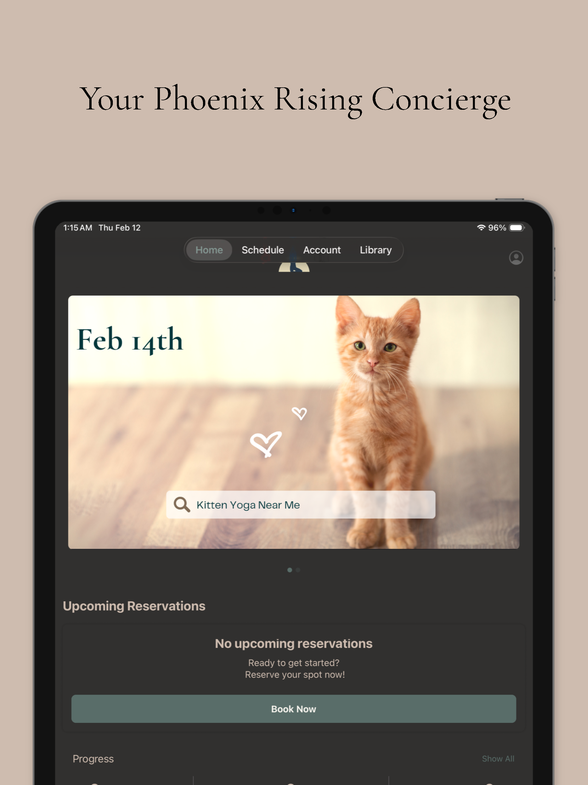 Phoenix Rising Studio