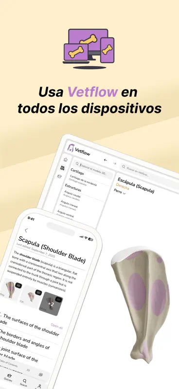 Vetflow - Aprende Anatomía screenshot 5 of 6