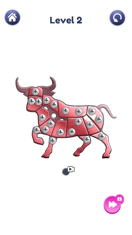 Rik Nuts : Screw Puzzle