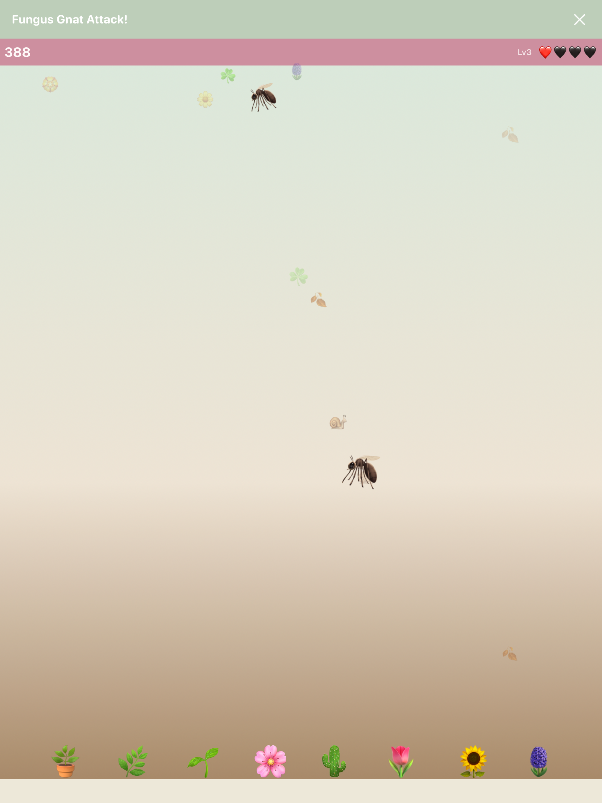Petal Plant Garden