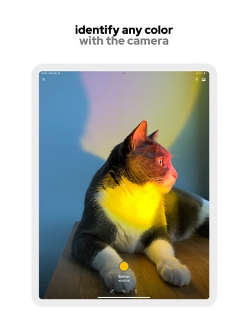 huefy: color identifier ipad screenshot 2
